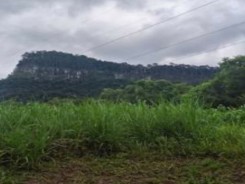 Imagem 3 do Leilão de Área Rural - Centro - Canela/RS