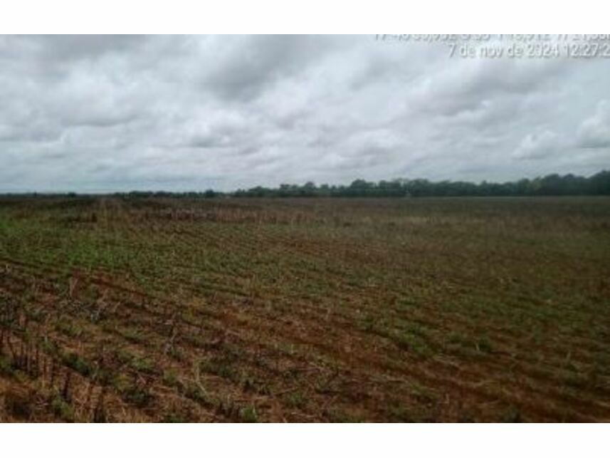 Imagem 15 do Leilão de Área Rural - Zona Rural - Goiatuba/GO
