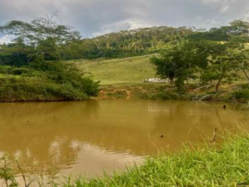 Imagem 7 do Leilão de Fazenda - Zona Rural - Tombos/MG