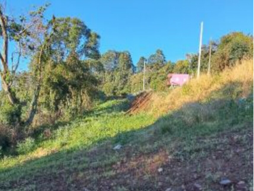 Imagem 7 do Leilão de Terreno - Interior - Cordilheira Alta/SC