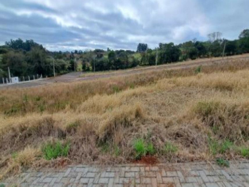 Imagem 3 do Leilão de Terreno - Industrial - Chapecó/SC