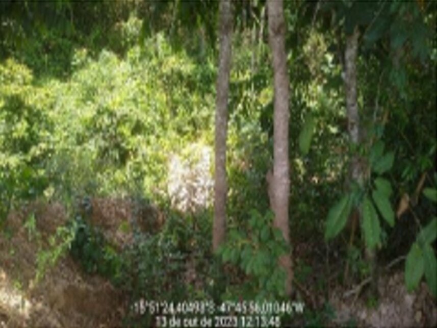 Imagem  do Leilão de Terreno - Jardim Botânico - Brasília/DF