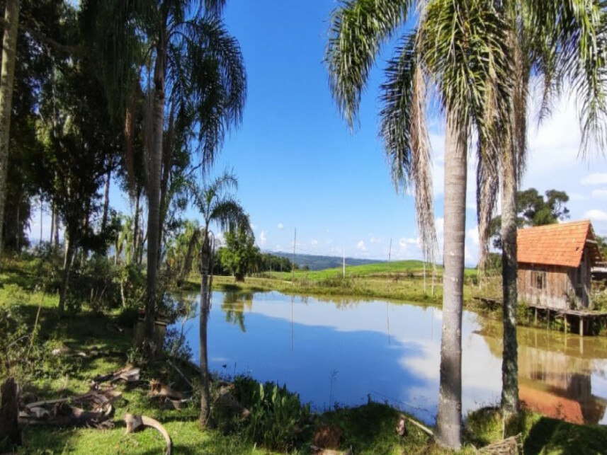 Imagem 4 do Leilão de Fazenda - Costão do Frade - Bom Retiro/SC