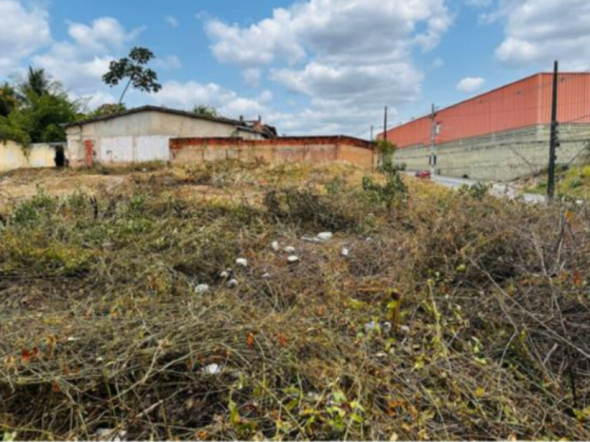Imagem 9 do Leilão de Terreno - Mangalô - Alagoinhas/BA