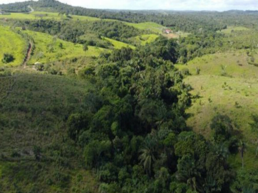 Imagem 2 do Leilão de Terreno - Expansão Urbana - Itaporanga d'Ajuda/SE