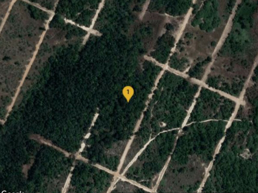 Imagem 1 do Leilão de Terreno - Parque das Margaridas - Salinas da Margarida/BA