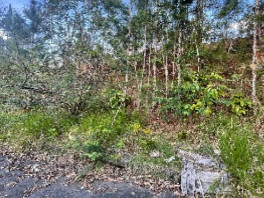 Imagem 5 do Leilão de Fazenda - Fazenda - Itajaí/SC