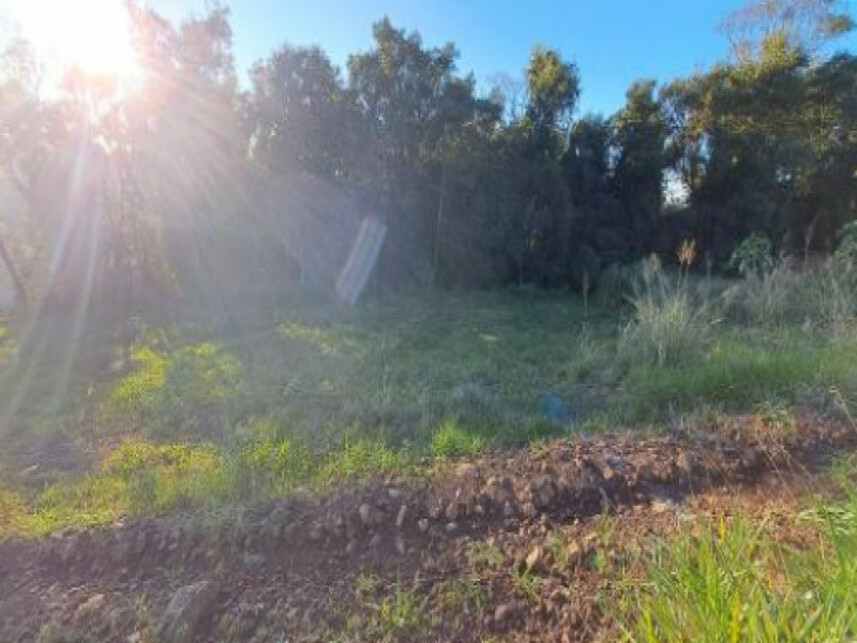 Imagem 5 do Leilão de Terreno - Interior - Cordilheira Alta/SC