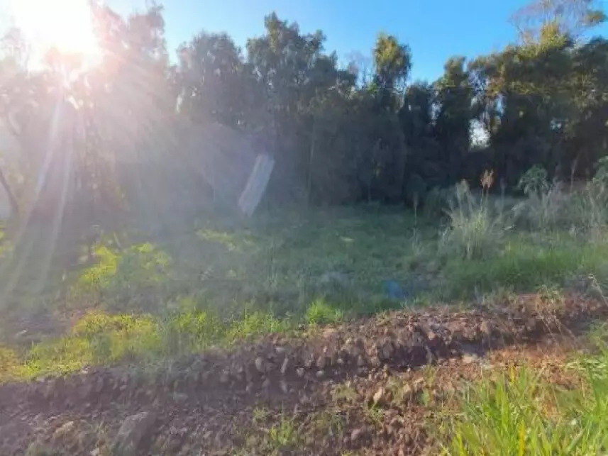 Leilão de Terreno Imóvel em Cordilheira Alta/SC - Lance Inicial R$ 75.839 - Extrajudicial