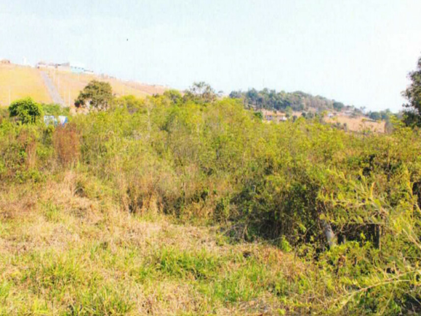 Imagem 3 do Leilão de Fazenda - Zona Rural - Monte Belo/MG