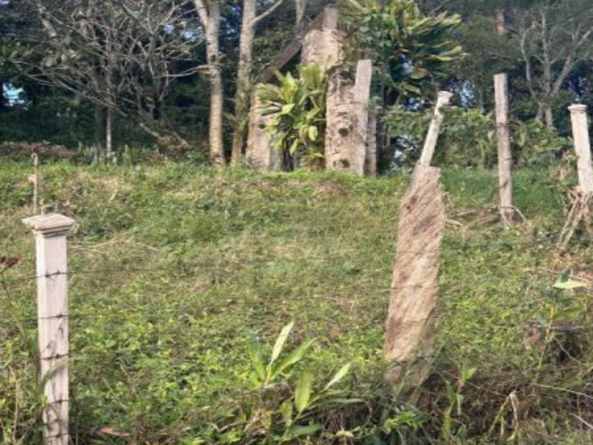 Imagem 8 do Leilão de Chácara - Interior - Igrejinha/RS