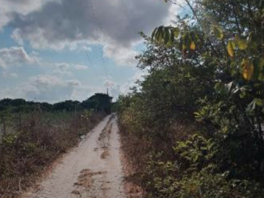 Imagem 2 do Leilão de Terreno - Curimatã - Pacajus/CE