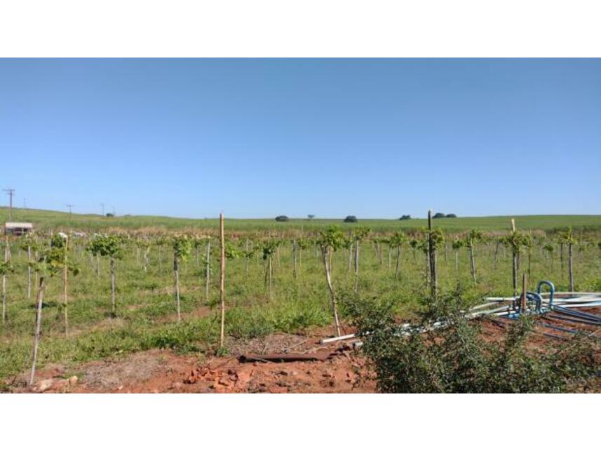 Imagem 21 do Leilão de Áreas Rurais - Gleba Pau Dalho - São João do Pau D'alho/SP