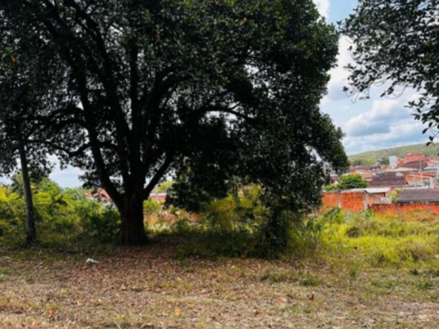 Imagem 4 do Leilão de Terreno - Mangalô - Alagoinhas/BA