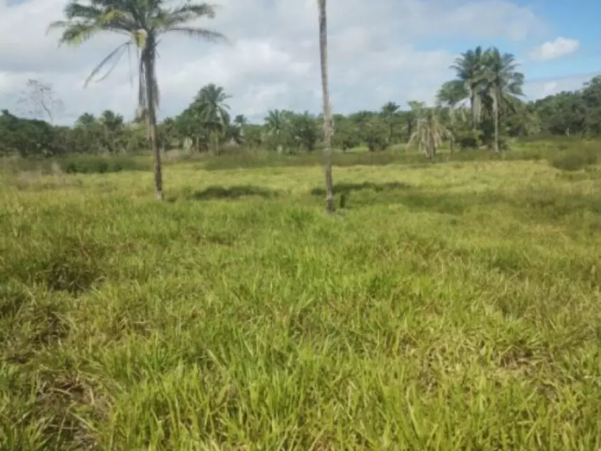 Leilão de Terreno Imóvel em Salinas da Margarida/BA - Lance Inicial R$ 60.000 - Extrajudicial