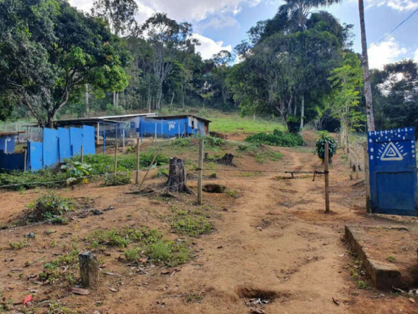 Imagem 5 do Leilão de Fazenda - Graminha - Volta Grande/MG