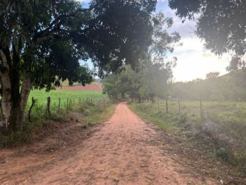 Imagem 6 do Leilão de Fazenda - Zona Rural - Tombos/MG