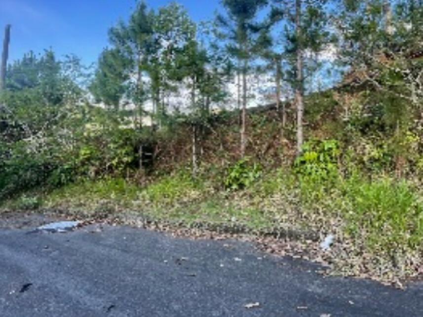 Imagem 4 do Leilão de Fazenda - Fazenda - Itajaí/SC