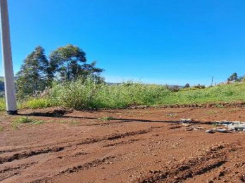 Imagem 3 do Leilão de Terreno - Interior - Cordilheira Alta/SC