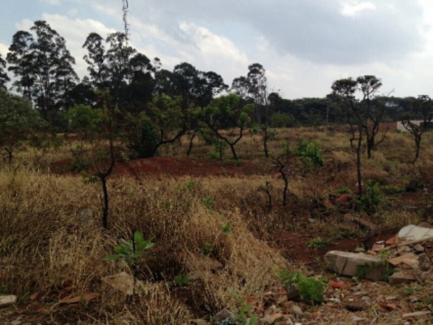 Imagem 2 do Leilão de Terreno - Milenium - Araguari/MG