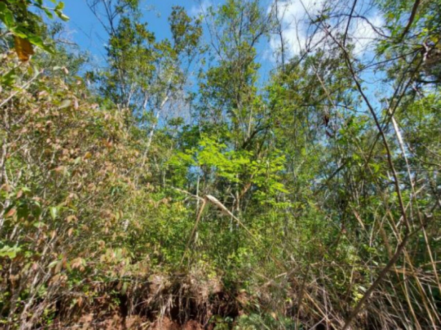 Imagem 4 do Leilão de Terreno - Interior - Três Coroas/RS