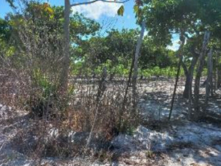 Imagem 3 do Leilão de Terreno - Curimatã - Pacajus/CE