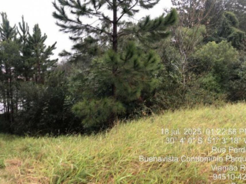 Imagem 4 do Leilão de Casa - São Lucas - Viamão/RS