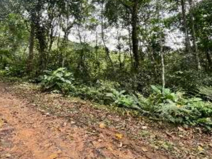 Imagem 7 do Leilão de Área Rural - Progresso - Blumenau/SC