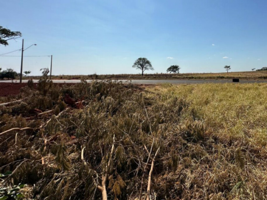 Imagem 4 do Leilão de Terreno - Centro - Piacatu/SP
