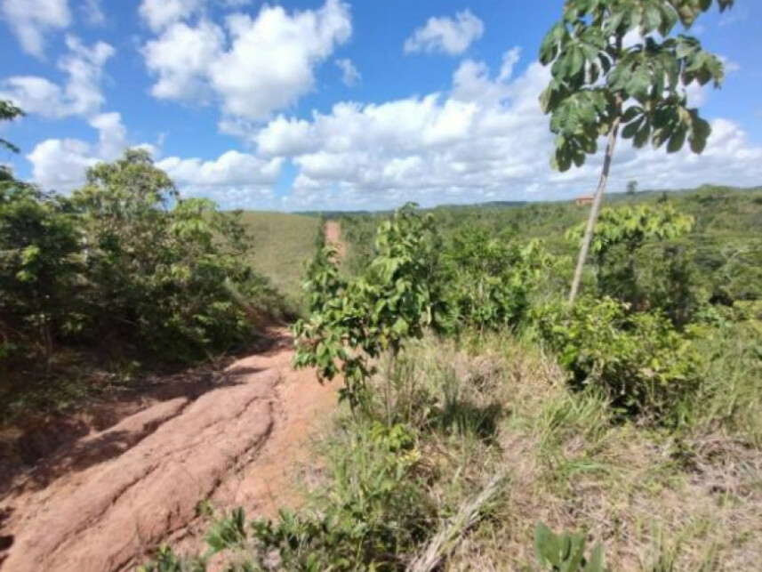 Imagem 4 do Leilão de Terreno - Povoado Duro - Itaporanga D'ajuda/SE