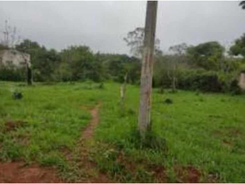 Imagem 18 do Leilão de Terreno - Chácaras Saia Velha - Cidade Ocidental/GO