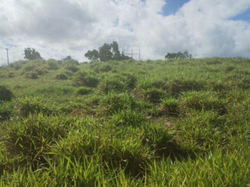 Imagem 6 do Leilão de Terreno - Parque das Margaridas - Salinas da Margarida/BA
