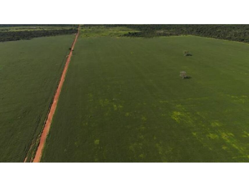 Imagem 10 do Leilão de Área Rural - Projeto Santaninha - Vila Rica/MT