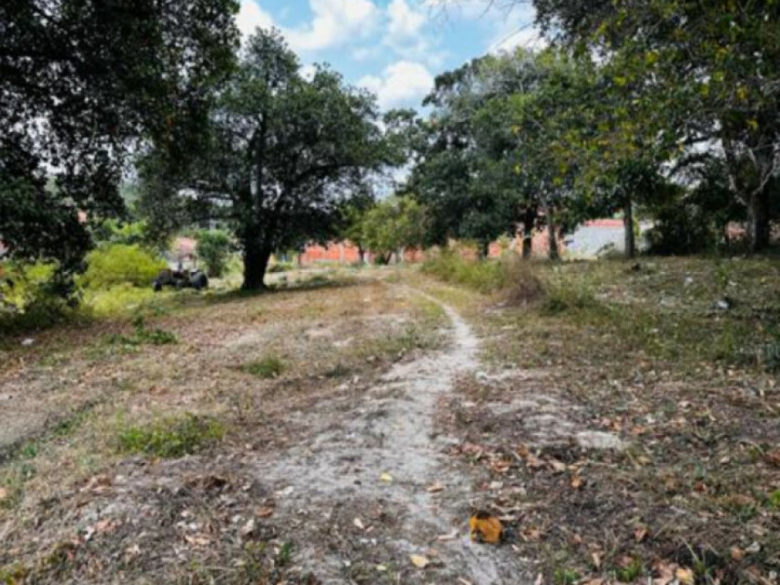 Imagem 7 do Leilão de Terreno - Mangalô - Alagoinhas/BA