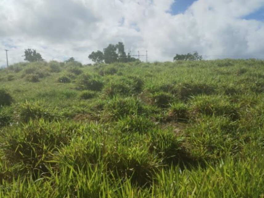 Imagem 6 do Leilão de Terreno - Parque das Margaridas - Salinas da Margarida/BA