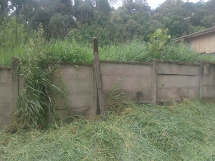 Imagem 2 do Leilão de Terreno - Colônia Dona Luíza - Ponta Grossa/PR