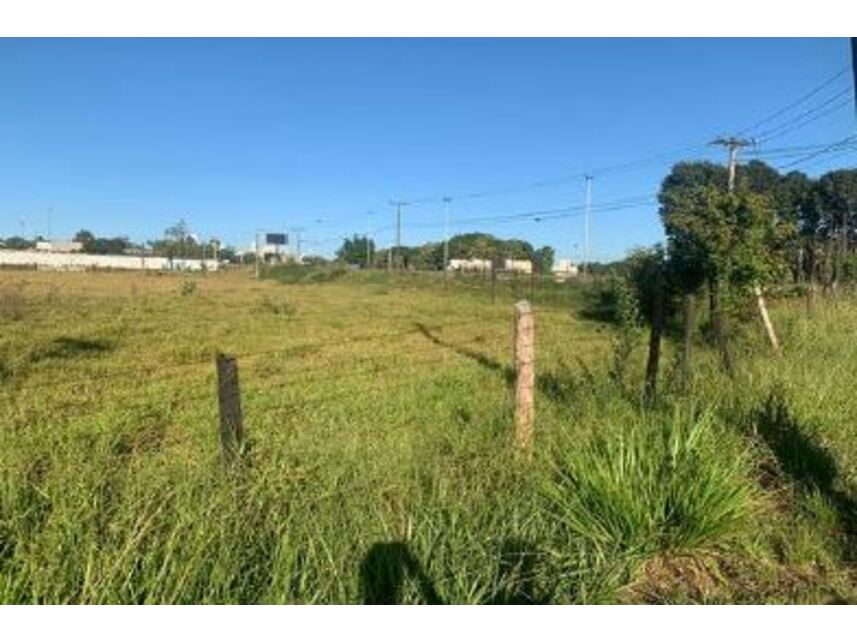 Imagem 12 do Leilão de Terreno - Jardim Novo Mundo - Goiânia/GO