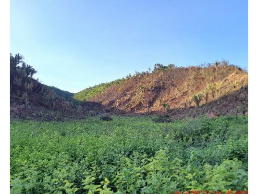 Imagem 3 do Leilão de Área Rural - Zona Rural - Paulo Ramos/MA