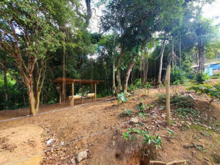 Imagem 7 do Leilão de Fazenda - Graminha - Volta Grande/MG