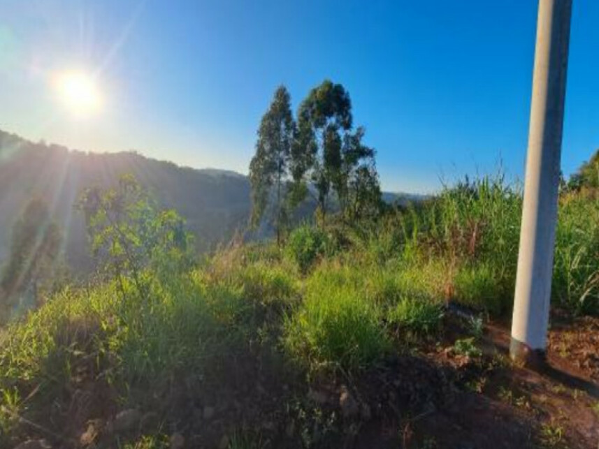 Imagem 6 do Leilão de Terreno - Interior - Cordilheira Alta/SC