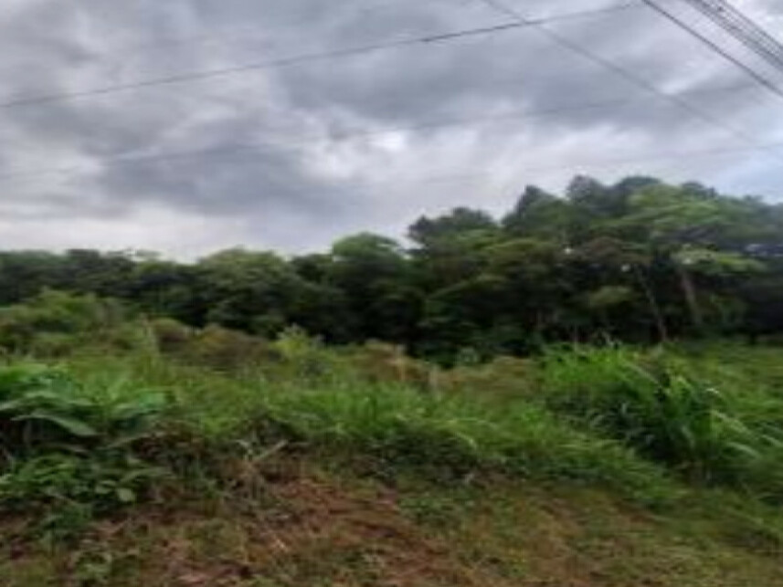 Imagem 5 do Leilão de Área Rural - Centro - Canela/RS