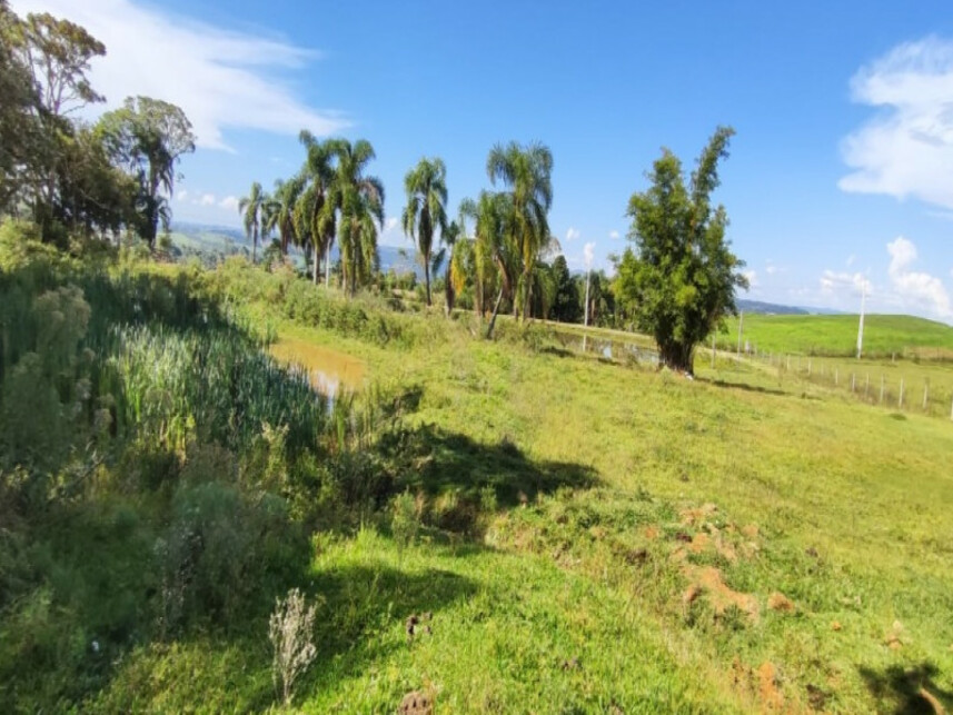 Imagem 5 do Leilão de Fazenda - Costão do Frade - Bom Retiro/SC