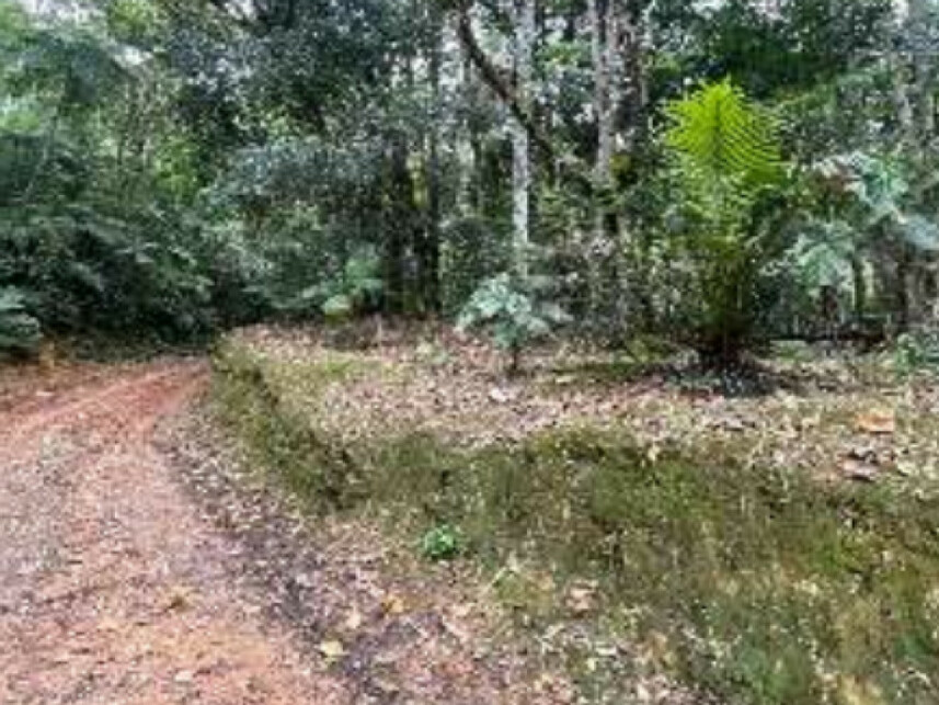 Imagem 5 do Leilão de Área Rural - Progresso - Blumenau/SC