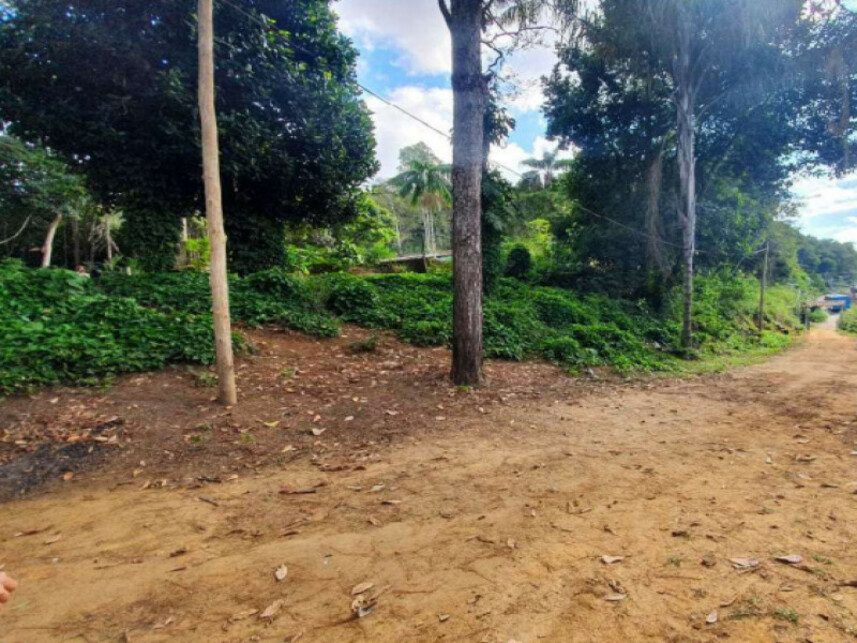 Imagem 10 do Leilão de Fazenda - Graminha - Volta Grande/MG