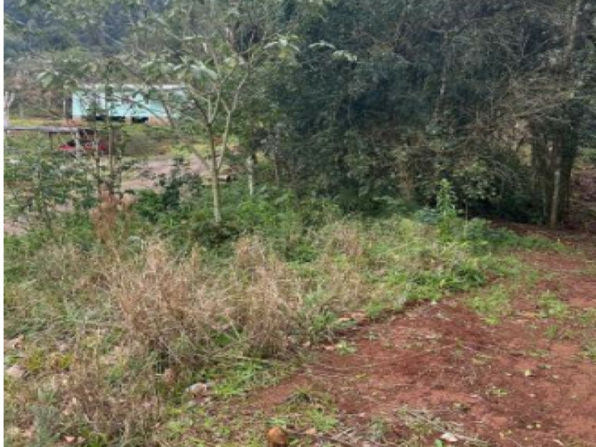 Imagem 8 do Leilão de Terreno - Várzea Grande - Gramado/RS