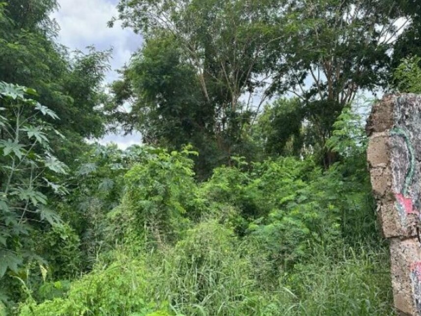 Imagem 13 do Leilão de Prédio - Campos Elíseos - Ribeirão Preto/SP