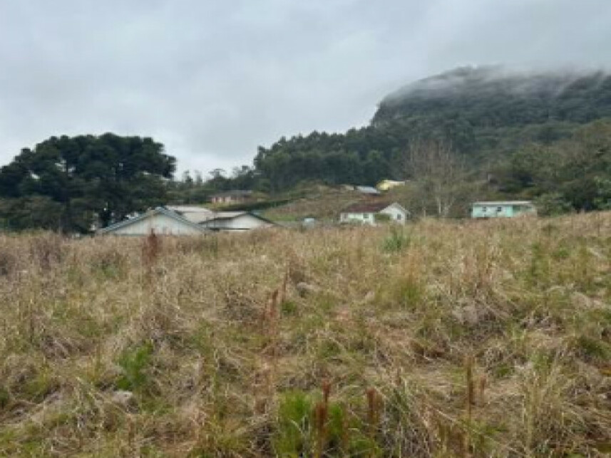 Imagem 10 do Leilão de Terreno - Várzea Grande - Gramado/RS