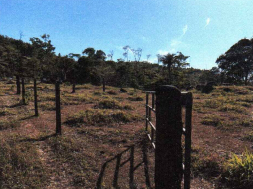 Imagem 3 do Leilão de Área Rural - Zona Rural - Ministro Andreazza/RO