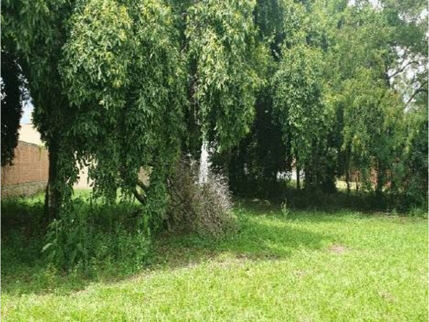 Imagem 8 do Leilão de Terreno - Jardim Palmares I - Saltinho/SP