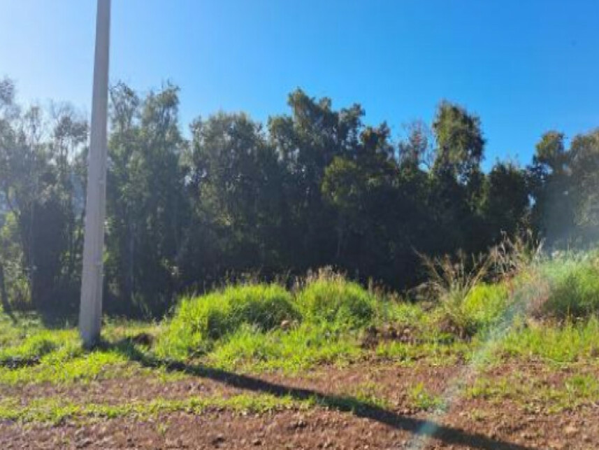 Imagem 4 do Leilão de Terreno - Interior - Cordilheira Alta/SC
